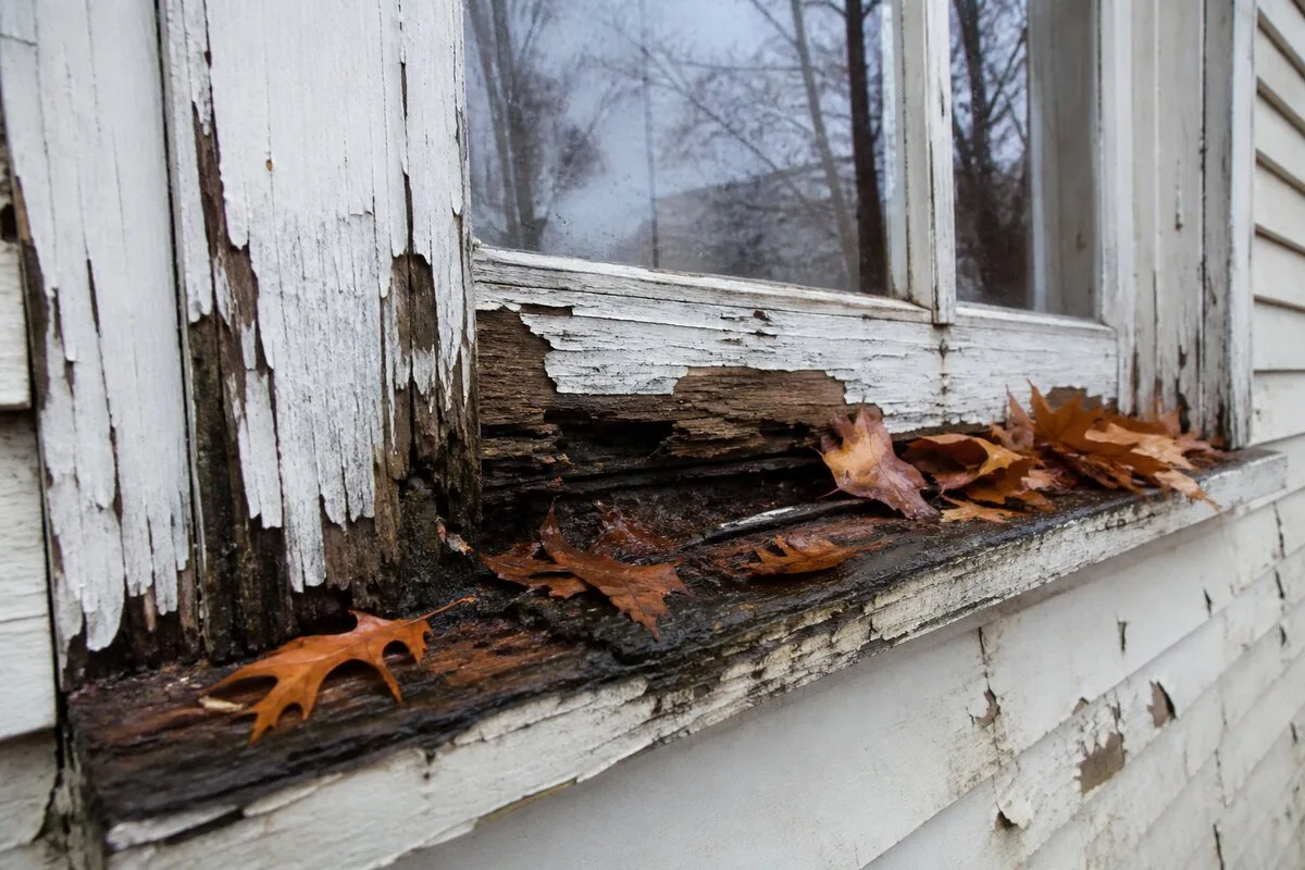 Rotting window frame in autumn rain